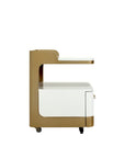 Pedicart Fiberglass - New Star Spa & Furniture Corp.