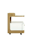 C1-Pedicart Fiberglass (White/Gold) - New Star Spa & Furniture Corp.
