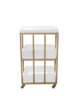 C1-Pedicart Fiberglass (White-Gold)