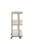 C1-Pedicart Fiberglass (White-Gold)