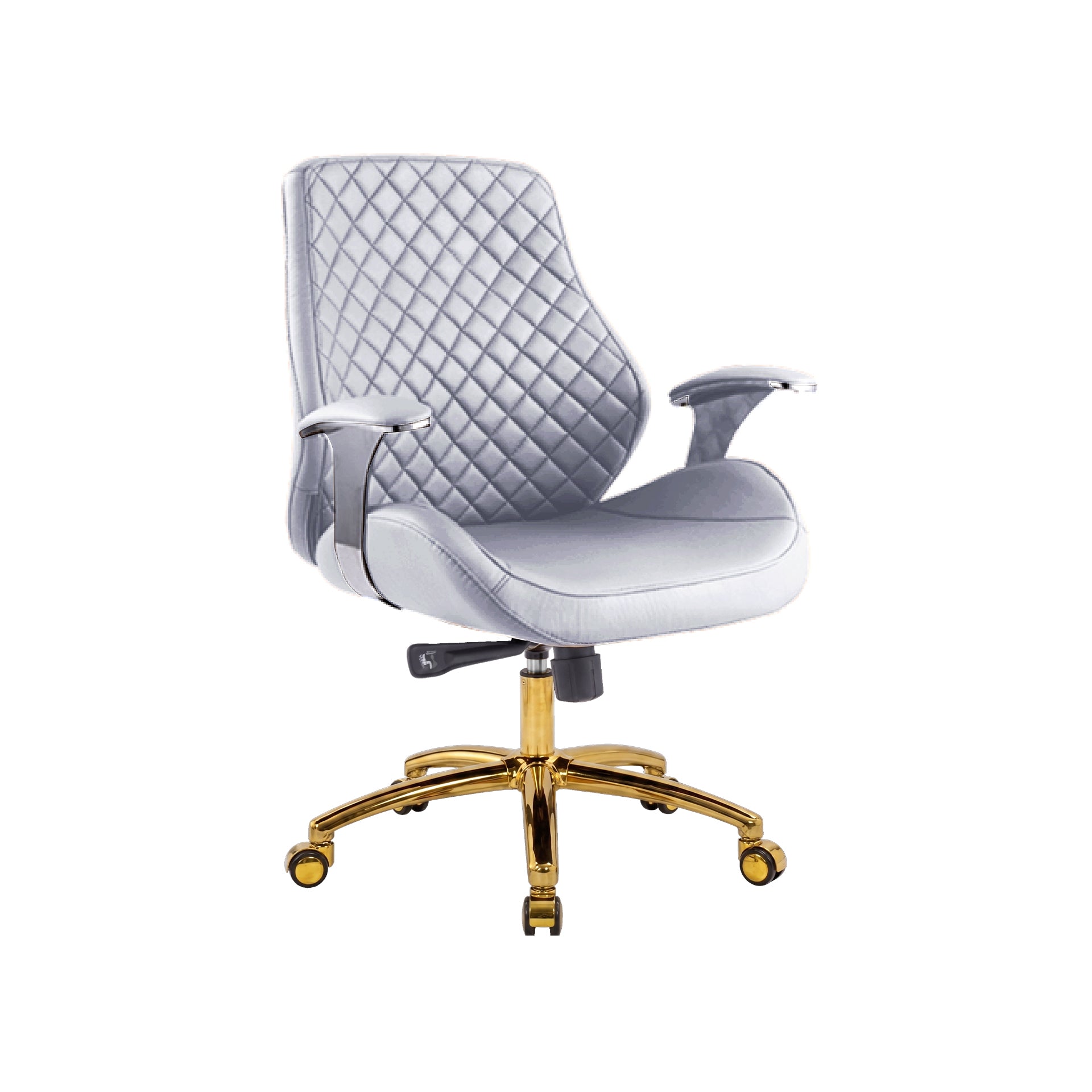 Customer Chair C010 - New Star Spa &amp; Furniture Corp.