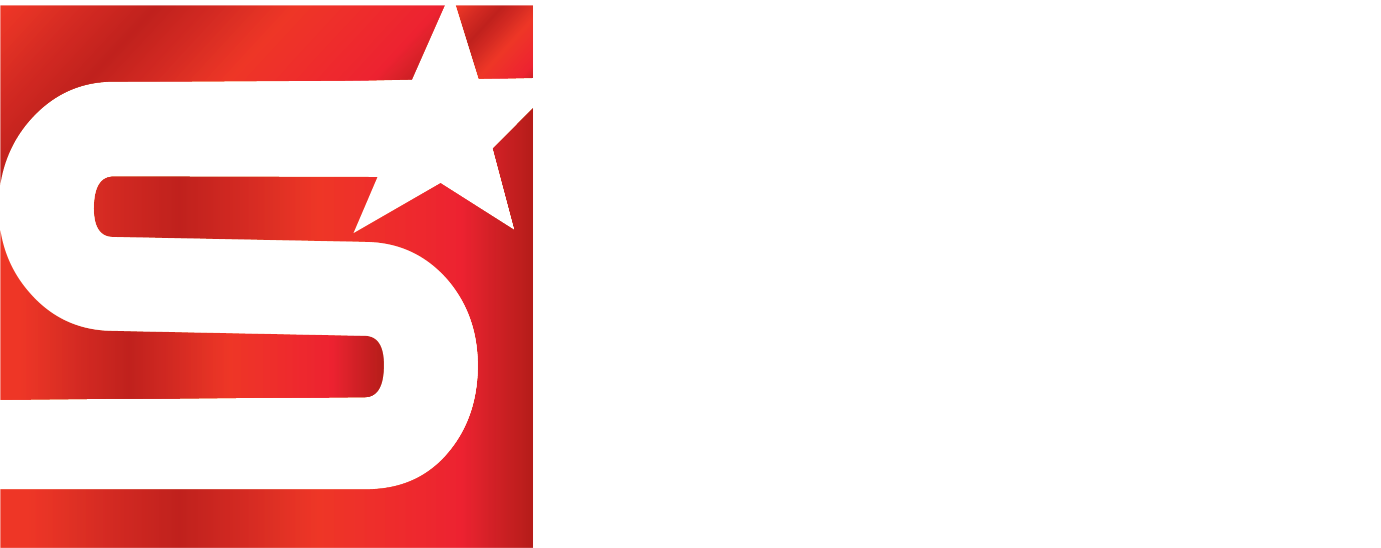New Star Salon Furniture logo
