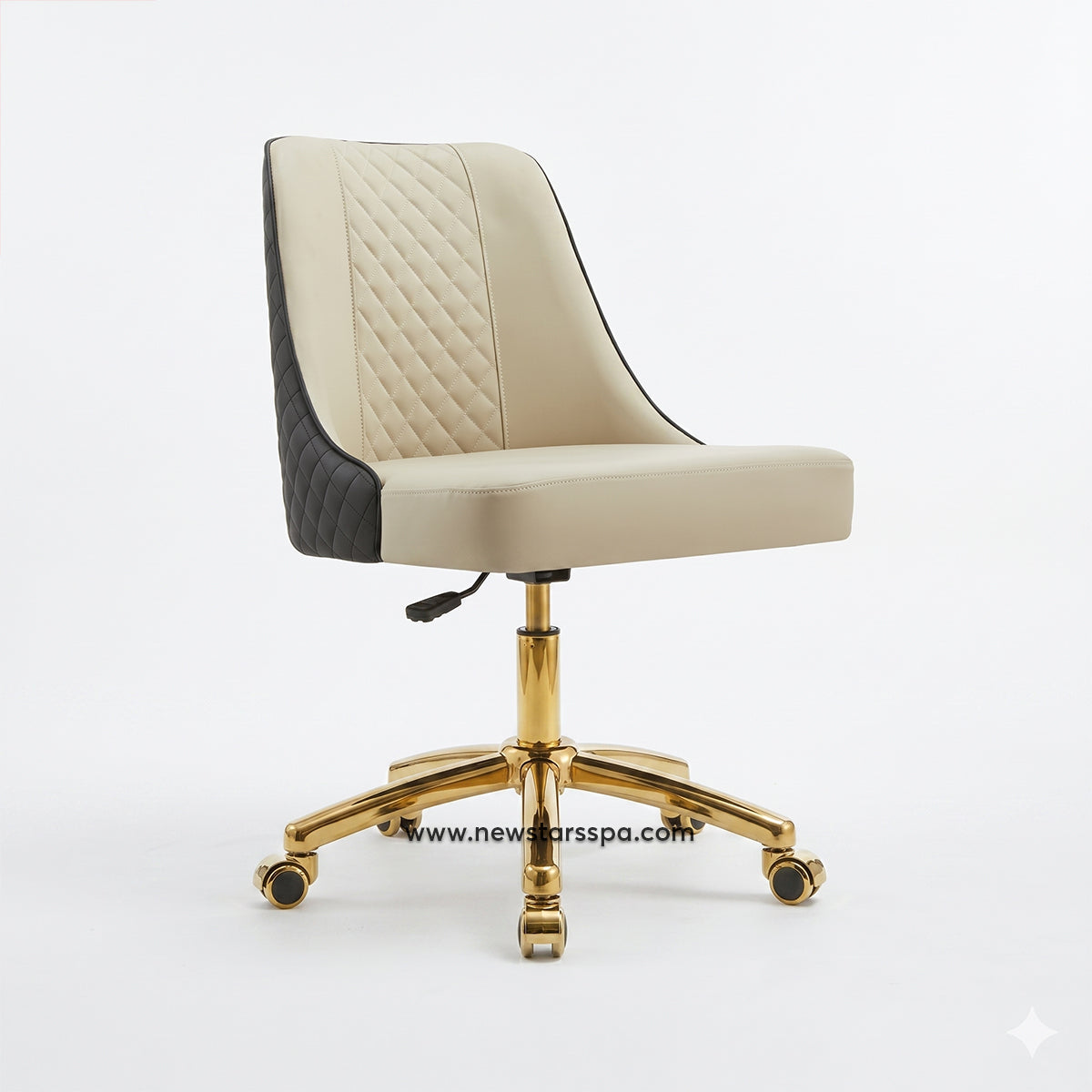 Customer Chair C020
