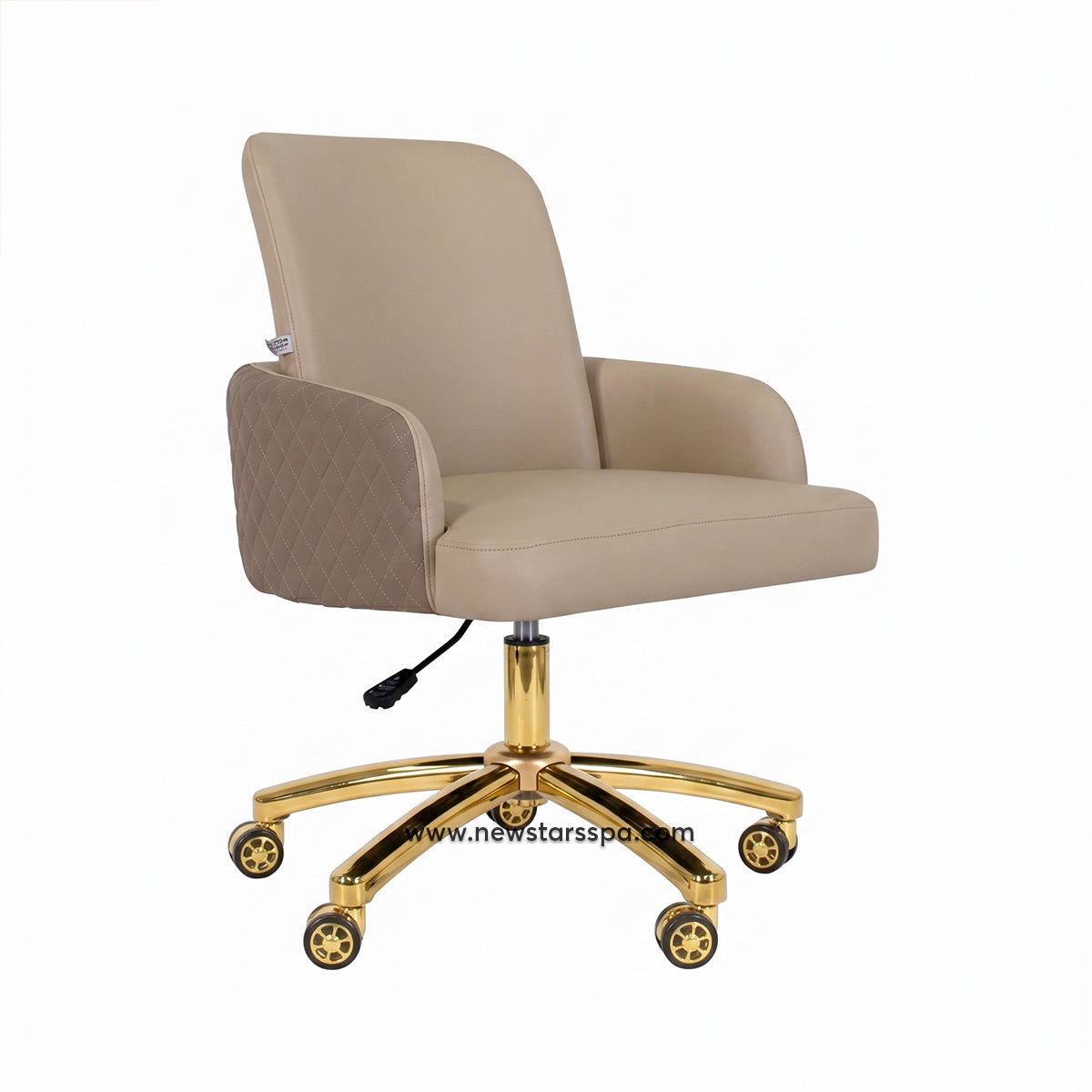 Customer Chair C025 - New Star Spa &amp; Furniture Corp.