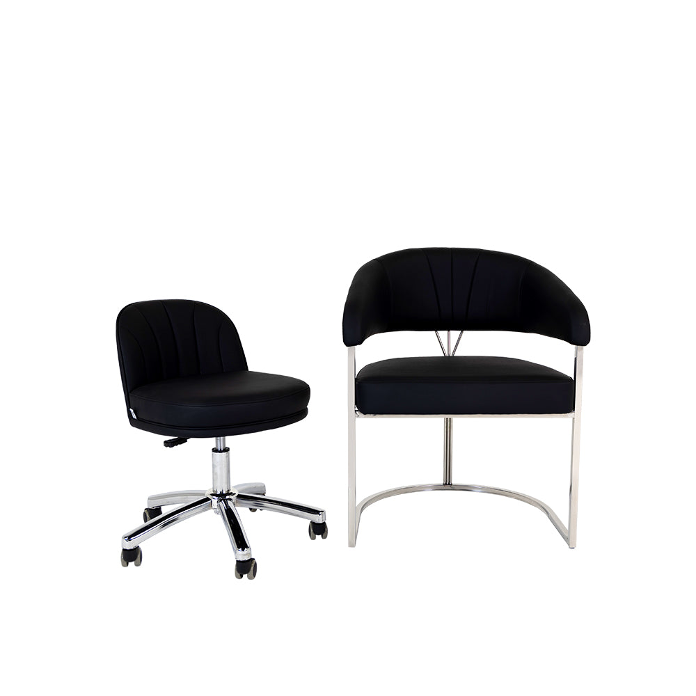 Customer Chair W018 + Technician Chair T019