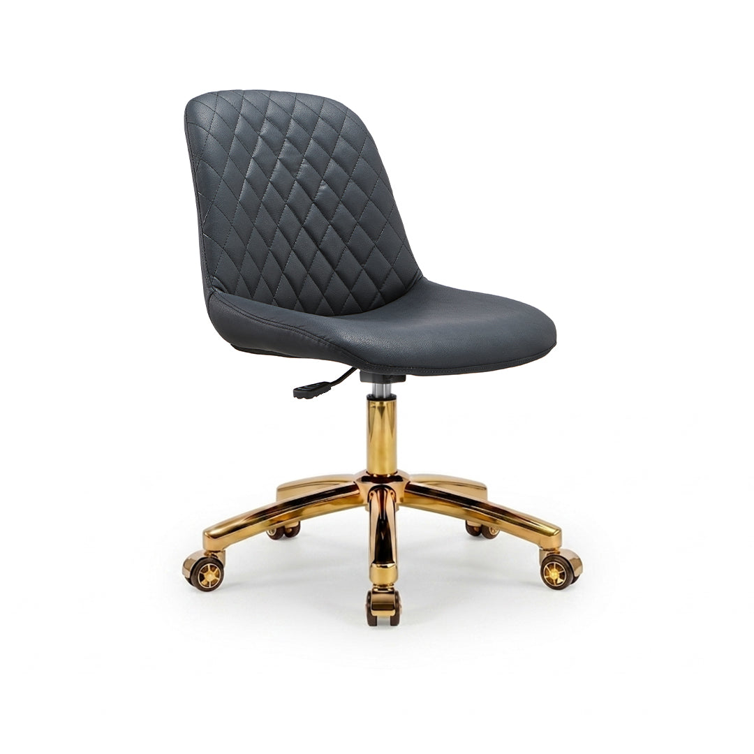 Technician Chair T008 - New Star Spa &amp; Furniture Corp.