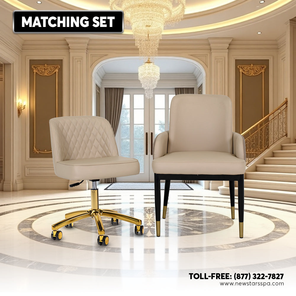 Customer Chair W025 + Technician Chair T011