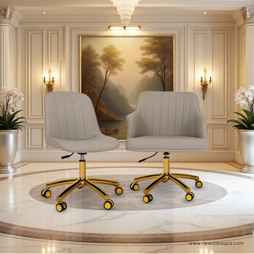 Customer Chair C015 + Technician Chair T009 (Gold Leg) - New Star Salon Furniture