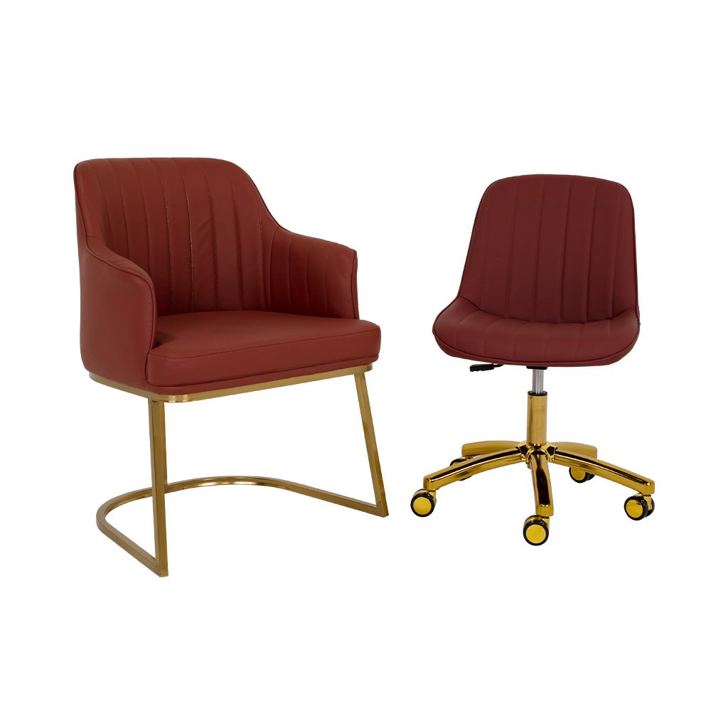 Customer Chair W015 + Technician Chair T009 (Gold Leg) - New Star Salon Furniture