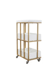 C1-Pedicart Fiberglass (White-Gold)