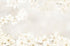 WA075 - New Star Salon Furniture