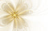 WA086 - New Star Salon Furniture