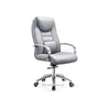Customer Chair C002 - New Star Spa & Furniture Corp.