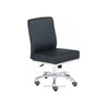 Customer Chair C006 - New Star Spa & Furniture Corp.