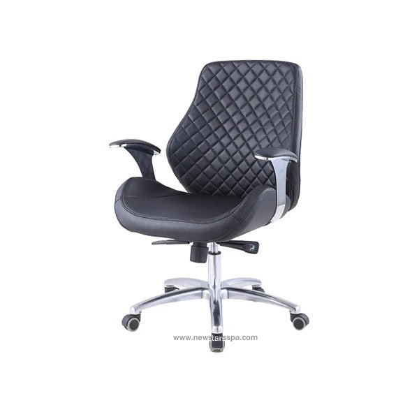 Customer Chair C010 - New Star Spa &amp; Furniture Corp.