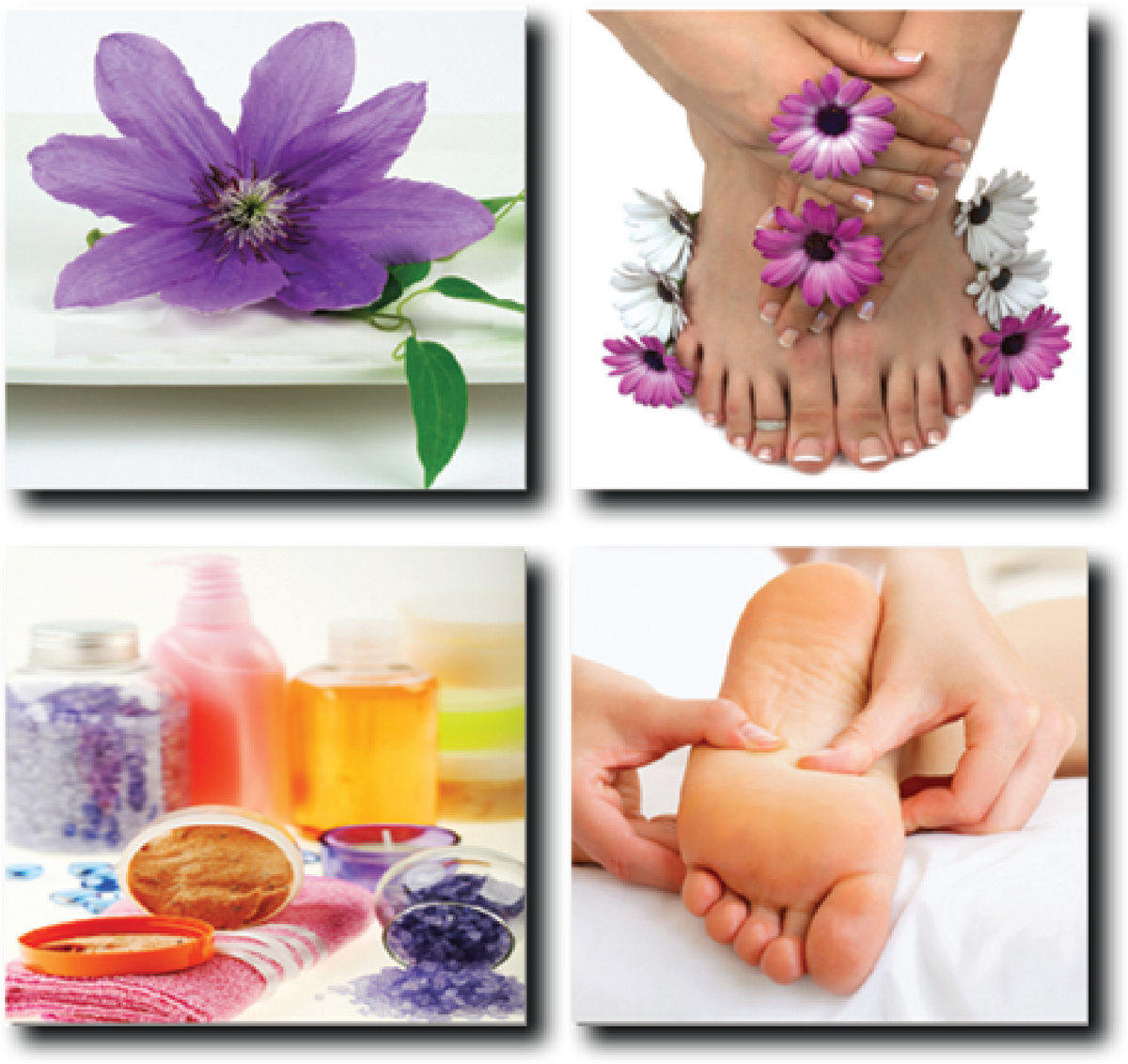 C 06 New Star Spa & Furniture Corp.