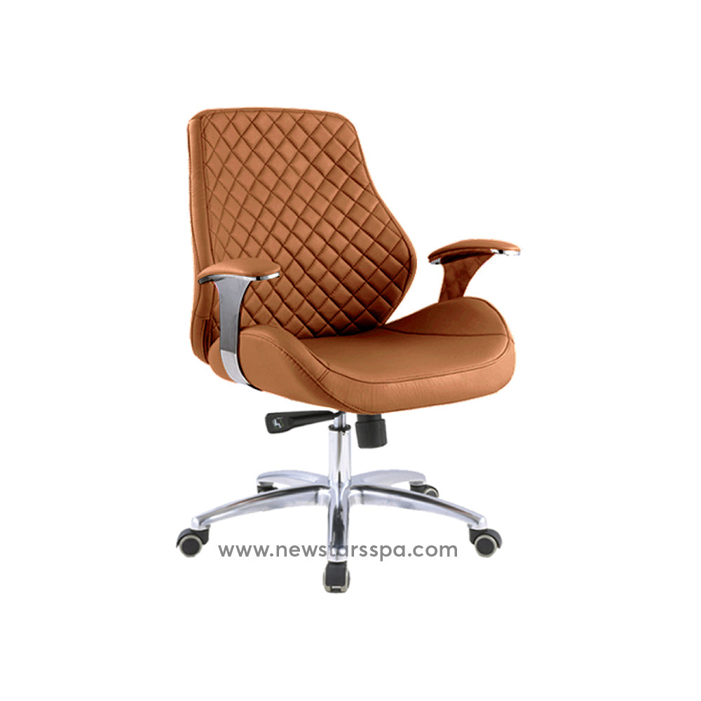 Customer Chair C010 - New Star Spa &amp; Furniture Corp.